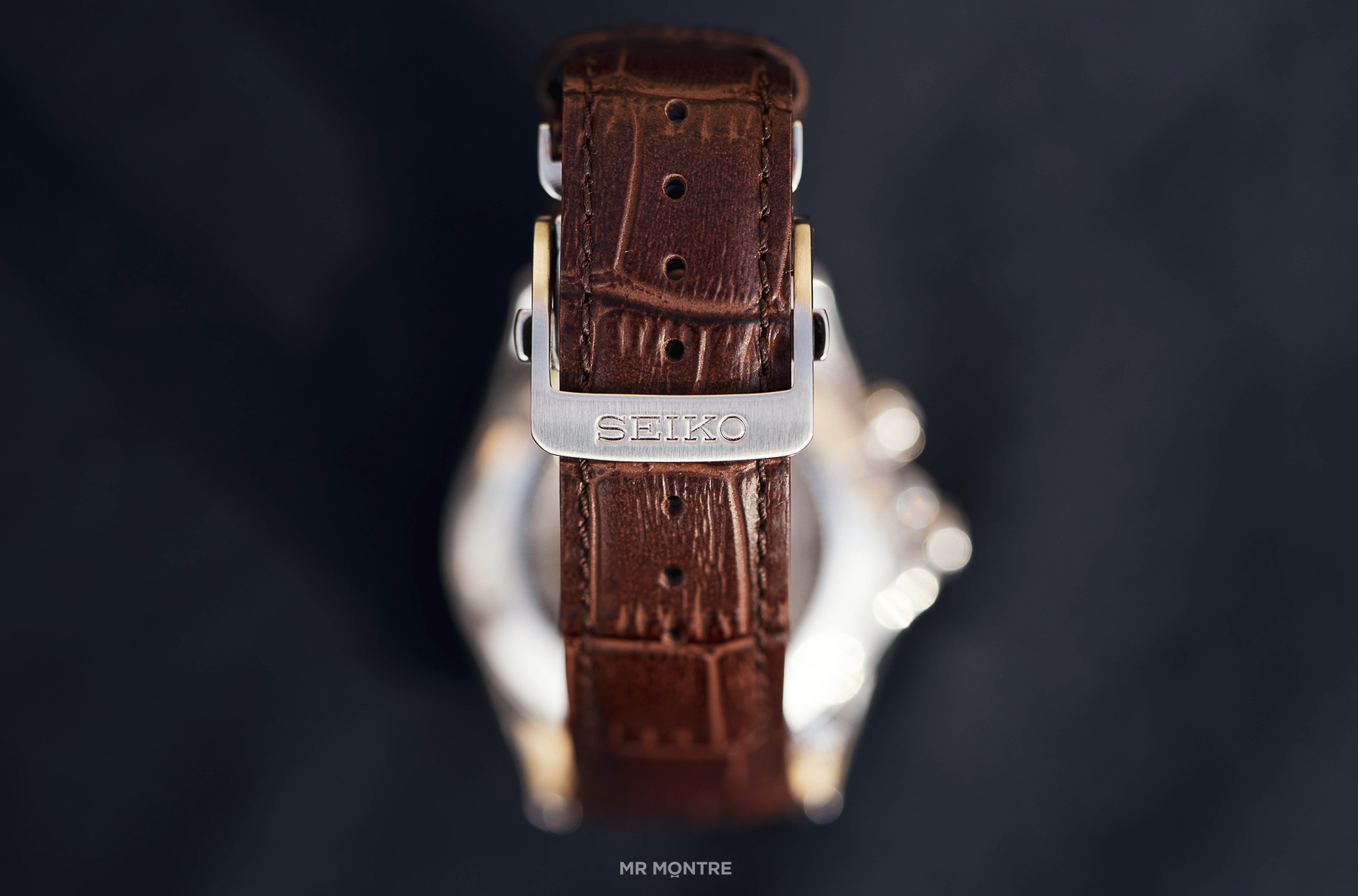 boucle ardillon de la seiko alpinist spb121