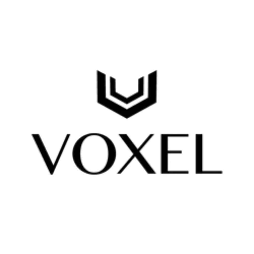 logo voxel
